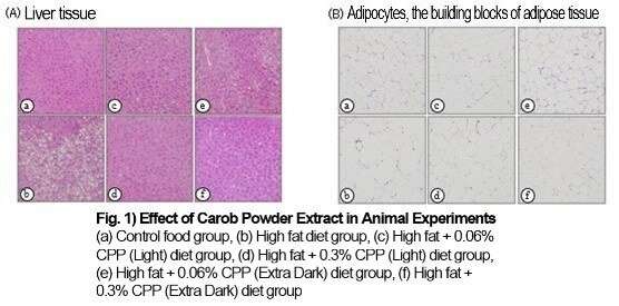 Carob powder found to have anti-obesity effects