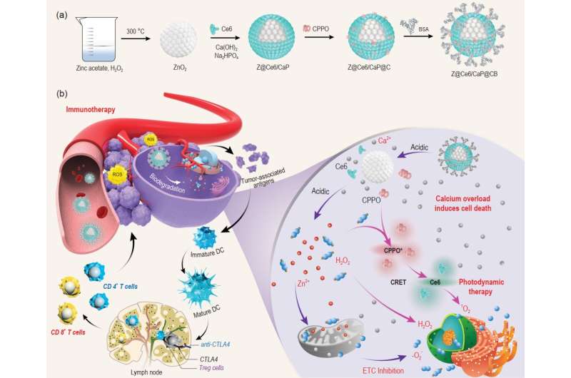Cascade-responsive nanobomb for anti-tumor synergistic therapies