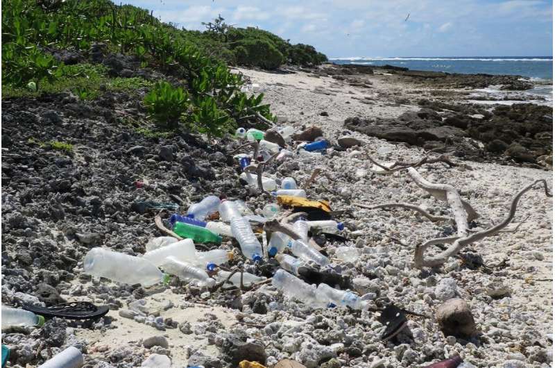 Catastrophic consequences for oceans when climate change and plastic pollution crises combine