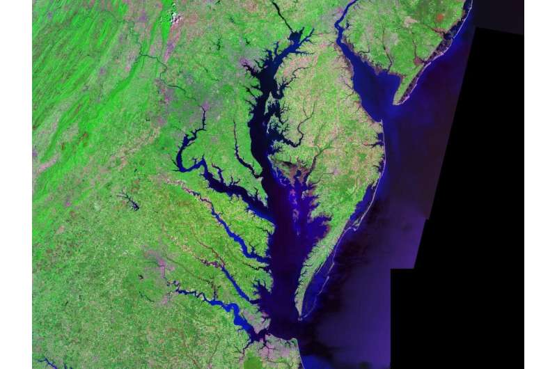 Changing weather patterns mix up the size, duration of annual Chesapeake Bay dead zone