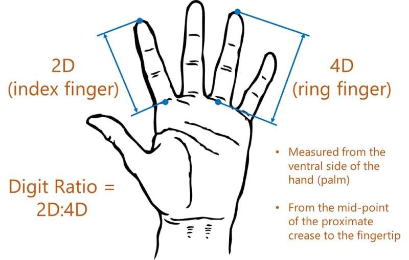 Children's finger length points to mothers' income level