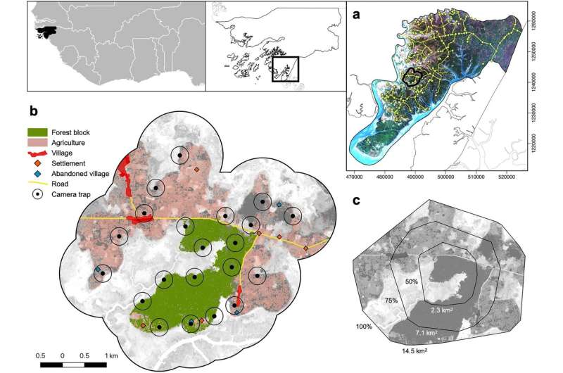 Chimpanzees and humans share overlapping territories