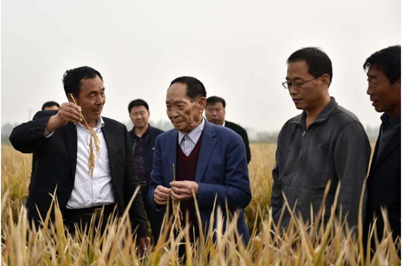 China's Yuan Longping dies; rice research helped feed world