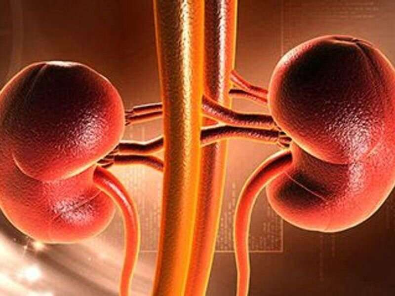 Chronic kidney disease may be overestimated in the elderly