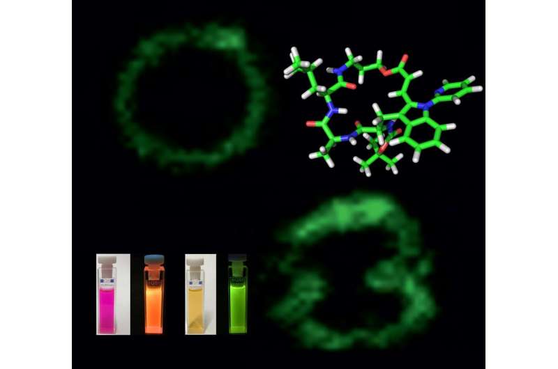 Clever biomolecular labelling enables identification of immune cells
