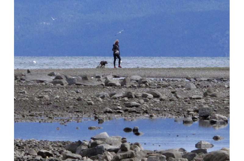 Climate change disrupting natural cycles at drier Lake Tahoe