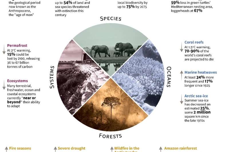 Climate change impacts on nature