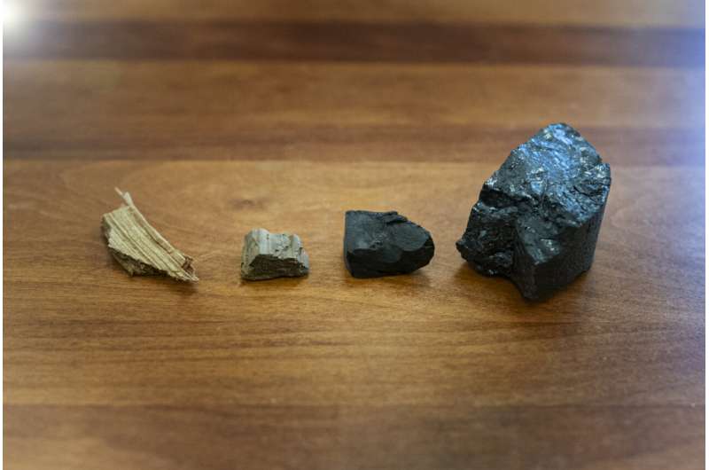 Coal creation mechanism uncovered
