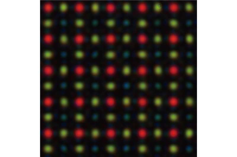 Color-sorting metalenses boost imaging sensitivity