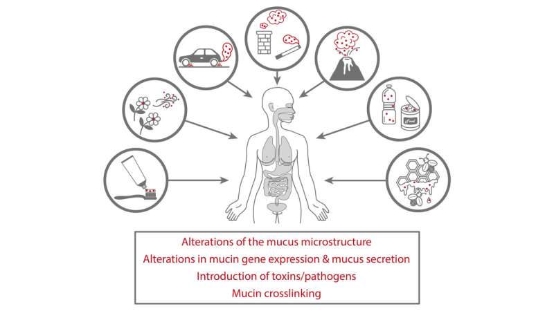 Common environmental pollutants damage mucus structure, function