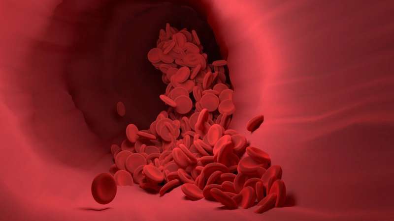 Complement protein Ba levels indicate transplant-associated thrombotic microangiopathy