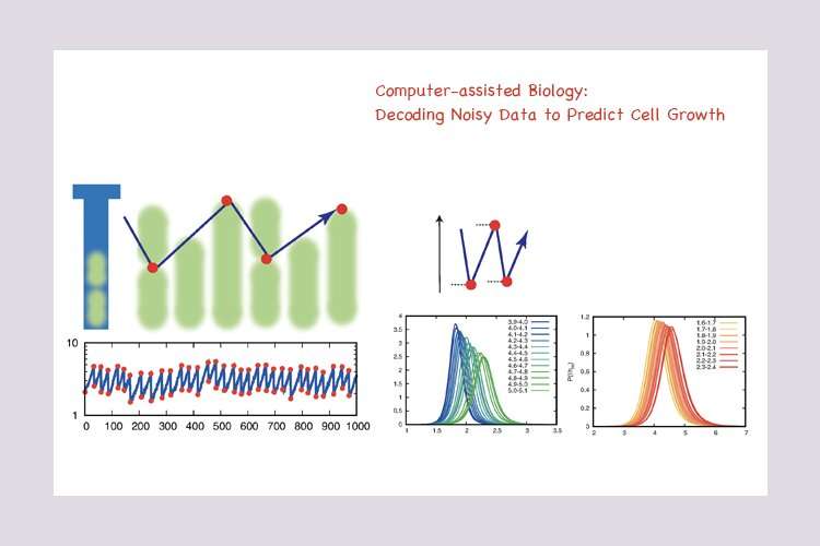Computer-assisted biology: Decoding noisy data to predict cell growth