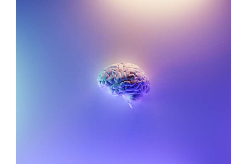 大脑的计算机模拟可以预测中风幸存者的语言恢复