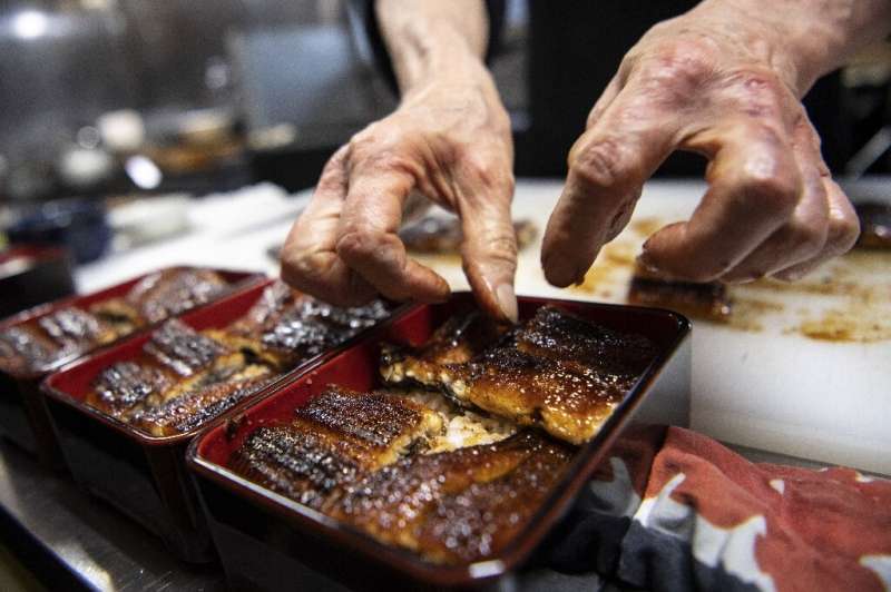 Consumed worldwide, eel is particularly popular in Asia, and perhaps nowhere more so than Japan, where remains found in tombs sh