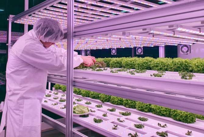 Controlled indoor cultivation without daylight comes of age