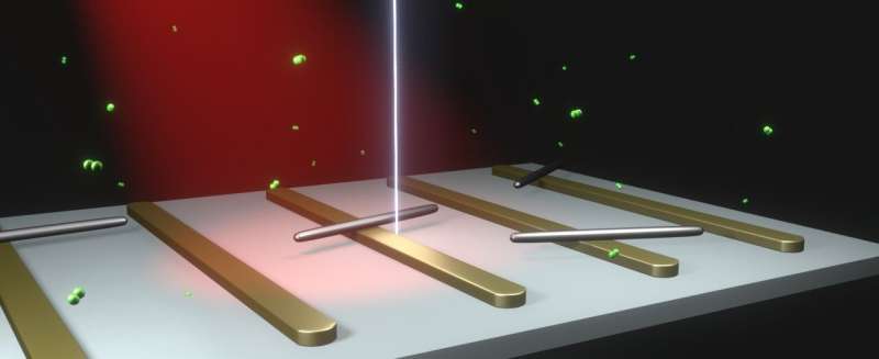 Controlling chemical catalysts with sculpted light