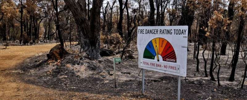 Coping with bushfire fallout