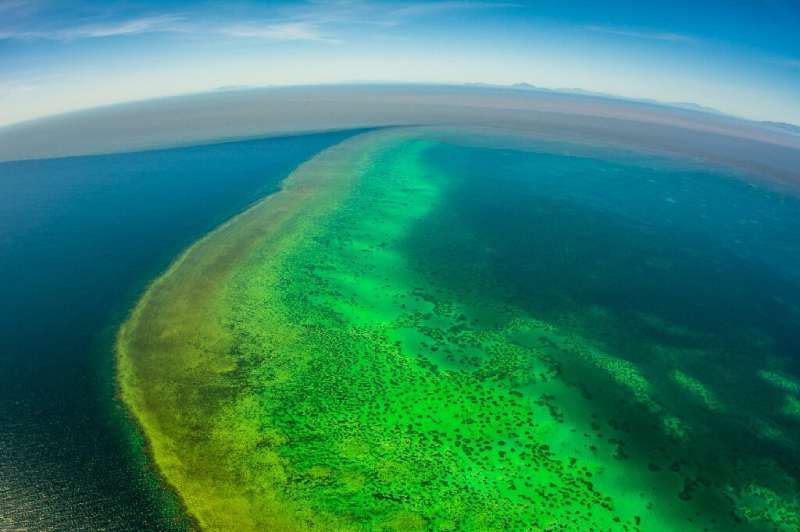 Coral reefs, like Australia's Great Barrier Reef pictured here, are particularly vulnerable
