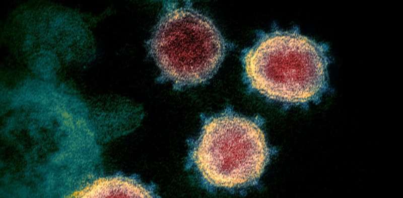 Coronavirus: a single 'escape mutant' shouldn't render a vaccine useless
