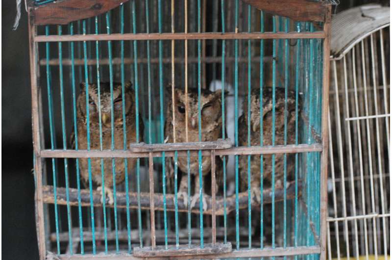 COVID-19 awareness may reduce demand for wildlife products in Asia