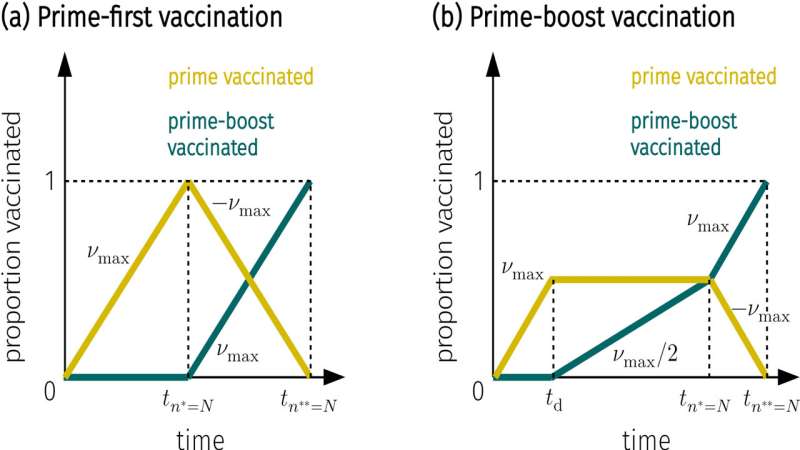 COVID-19 vaccination strategies: When is one dose better than two?