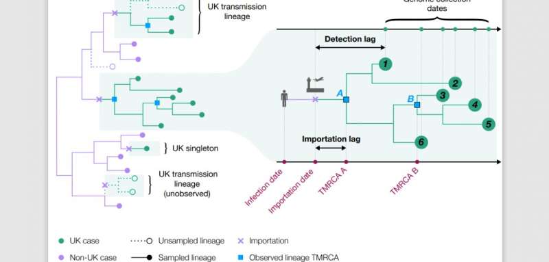 COVID-19 transmission chains in the UK accurately traced using genomic epidemiology