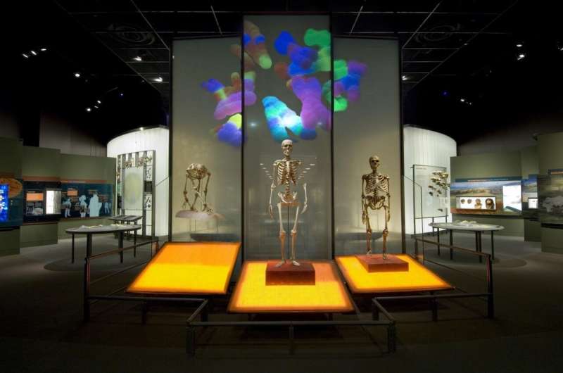 Creativity and community: How modern humans overcame the Neanderthals