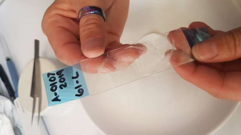 Crime scene tape set to revolutionize microplastics research