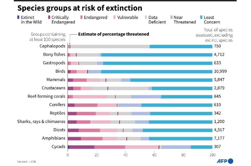 Current global extinction risk in different species groups, according to the IUCN