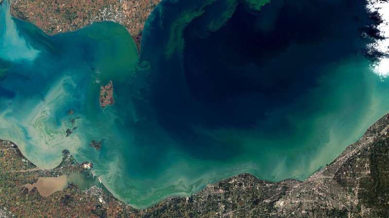 Cyanobacteria blooms exceed WHO thresholds in Midwest lakes