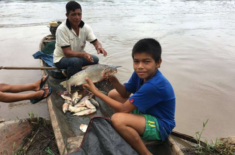 Declining biodiversity in wild Amazon fisheries threatens human diet