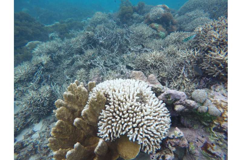 Declining growth rates of global coral reef ecosystems
