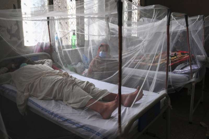Dengue can cause intense flu-like symptoms that earned it the nickname 'breakbone fever'