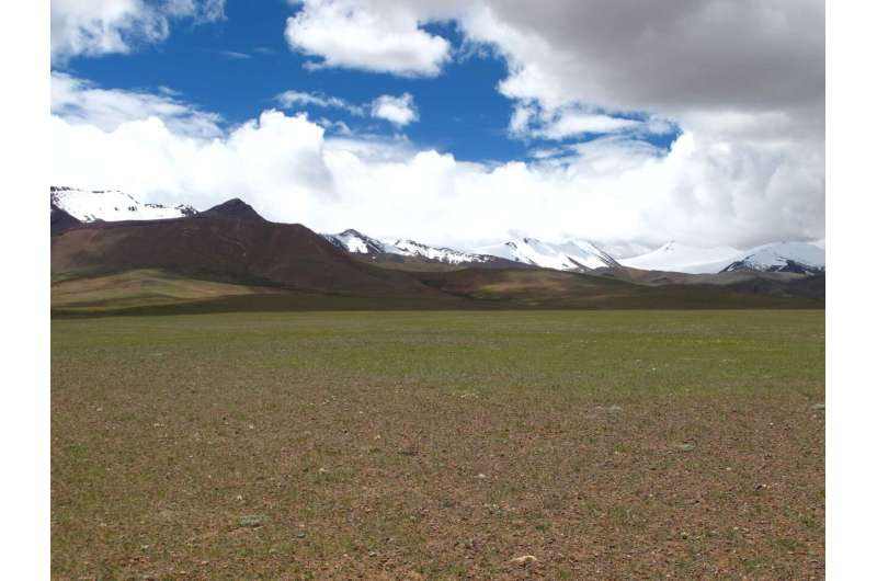 Denisovans or Homo sapiens: Who were the first to settle (permanently) on the Tibetan Plateau?