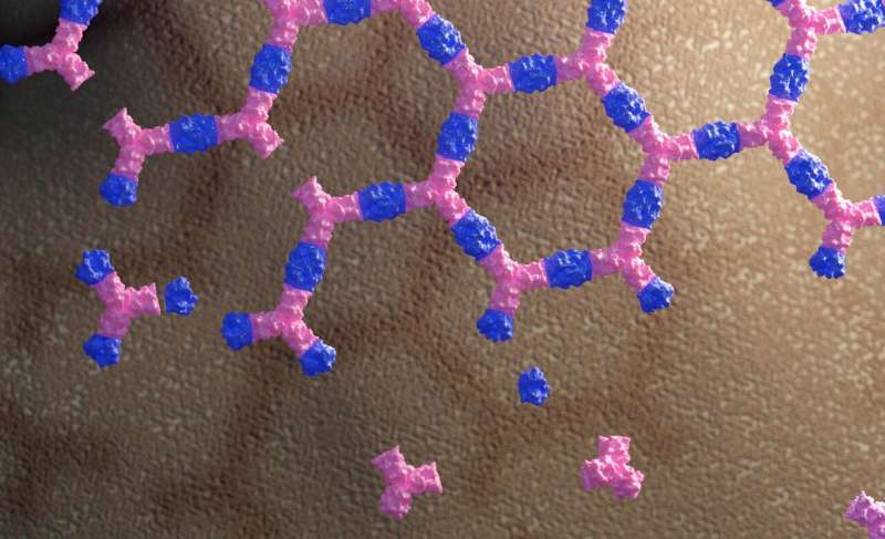 Designer protein patches boost cell signaling