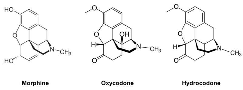 Designing less addictive opioids, through chemistry