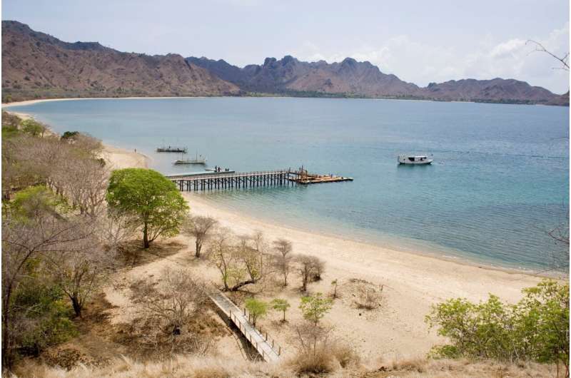 Development and conservation clash at Komodo National Park