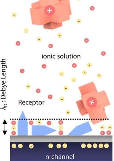 Development of “cellular membrane-FET (lipid-FET)” for sensitivity of biosensor