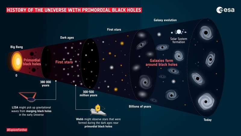 Did black holes form immediately after the Big Bang?