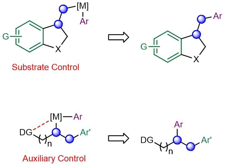 Directing group-free alkene dicarbofunctionalization through catalyst control