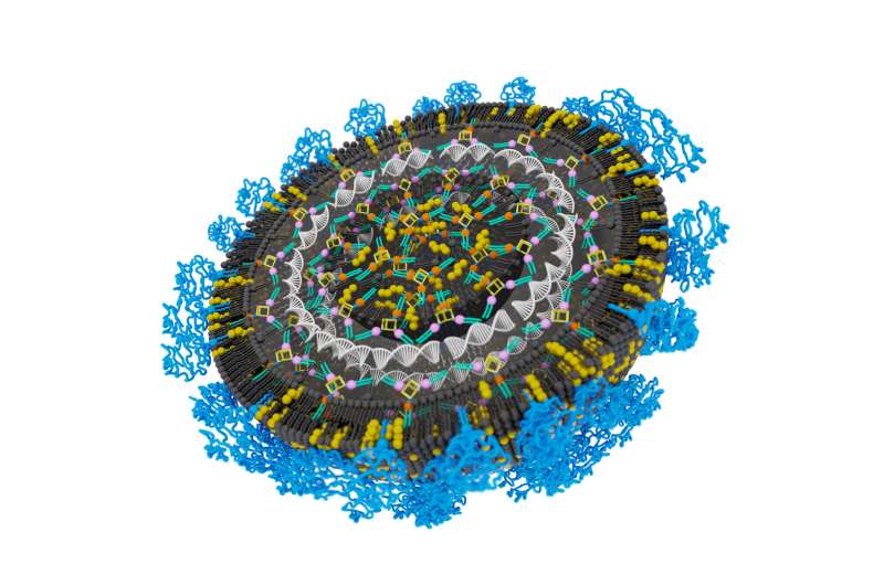 Discovery of a universal system for transporting nucleic acids into cells  