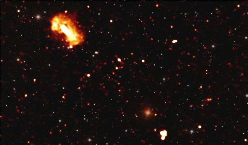 Distant star-forming galaxies appear as dots and faint orange objects, but active black holes are also visible like here in the 