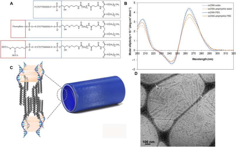 DNA nanotubes deliver therapeutics to glioblastoma tumors