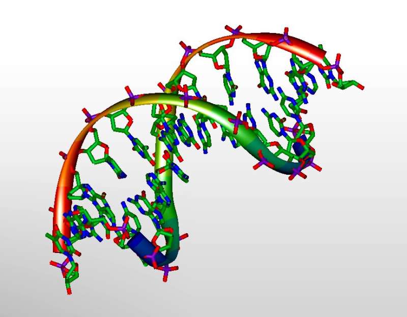 3D Modell von DNA.