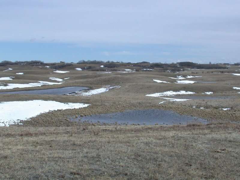 Do depressions in Canadian prairies hold the key to groundwater recharge?
