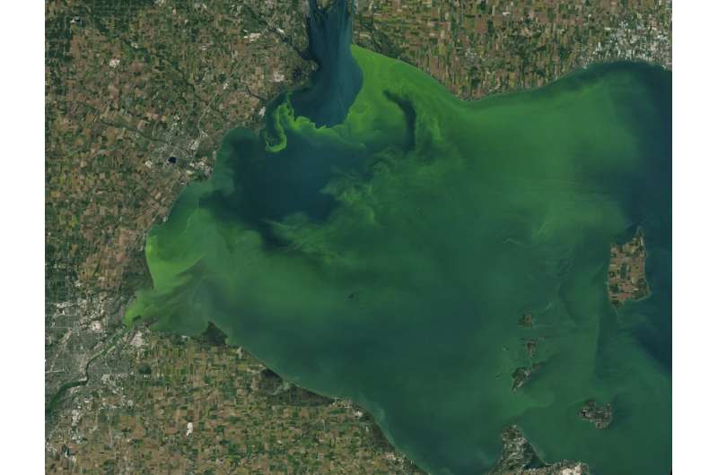 Downstream consequences: How NASA satellites track harmful algal blooms