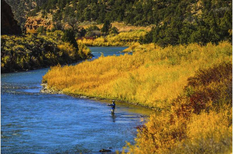 Drought, heat, fire force fishing ban on Colorado River