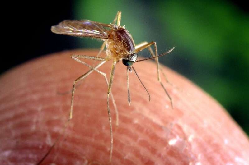 Drought restrictions had side benefit: Lowering risk of mosquito-borne disease