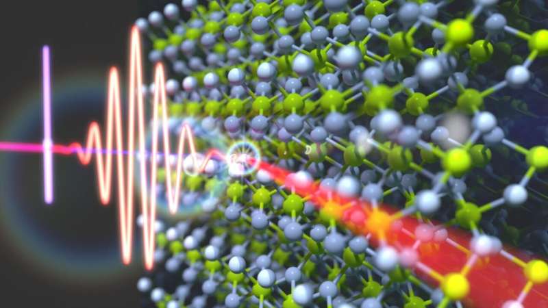 Dual character of excitons in the ultrafast regime: atomic-like or solid-like?