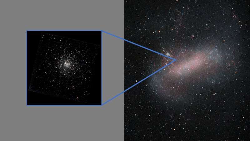 Dwarf galaxy catches globular cluster
